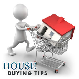 Property buying tips