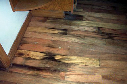 Hardwood floor rotting