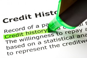 Establish a credit history